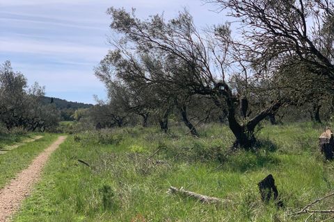 Landejendom i Tortosa, Tarragona, Tortosa - € 139.000 | Ref: Tor9079fra - foto 40